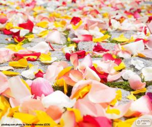 Rose petals wedding puzzle