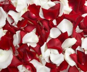 Rose petals puzzle