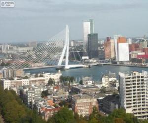 Rotterdam, Netherlands puzzle