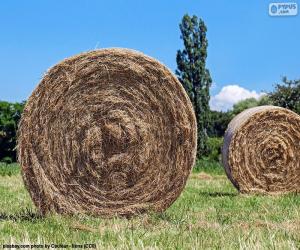 Round straw bales puzzle