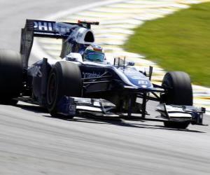 Rubens Barrichello - Williams - Interlagos 2010 puzzle