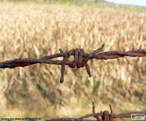 Rusty wire puzzle