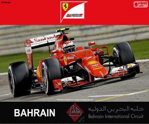Räikkönen G.P. Bahrain 2015 puzzle