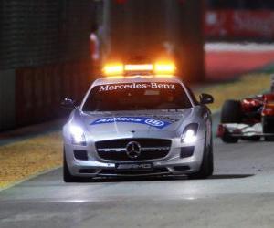 Safety car - Singapore 2010 puzzle