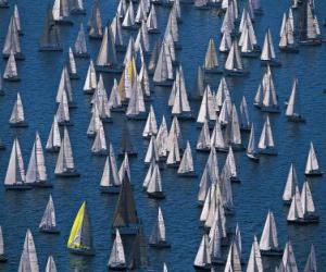 Sailing regatta puzzle