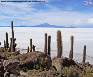 Salar de Uyuni, Bolivia puzzle