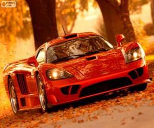 Saleen S7 Twin Turbo puzzle