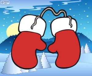 Santa Claus gloves. Red and white mittens puzzle