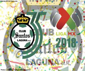 Santos, the 2018 Clausura puzzle