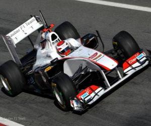 Sauber C30 - 2011 - puzzle