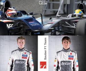 Sauber F1 Team 2013 puzzle