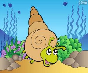 Sea snail puzzle