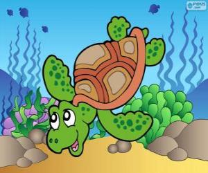Sea turtle puzzle
