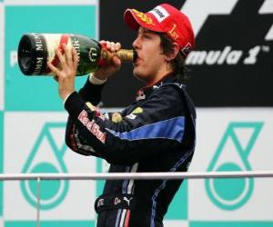 Sebastian Vettel celebrates his victory at Sepang, Malaysian Grand Prix (2010) puzzle