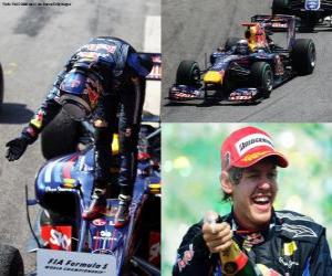Sebastian Vettel celebrates his victory at the Brazilian Grand Prix (2010) puzzle