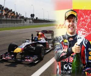 Sebastian Vettel celebrates his victory in the Grand Prix of Turkey (2011) puzzle