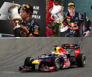 Sebastian Vettel celebrates victory in the Bahrain Grand Prix (2012) puzzle