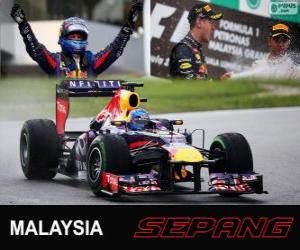 Sebastian Vettel celebrates his victory in the Grand Prix of Malaysia 2013 puzzle