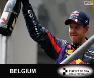 Sebastian Vettel celebrates his victory in the Grand Prix of Belgium 2013 puzzle