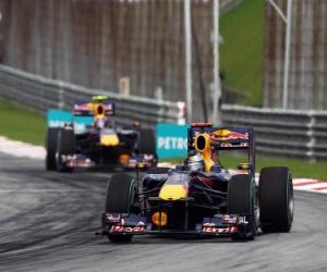 Sebastian Vettel, Mark Webber - Red Bull - Sepang 2010 puzzle