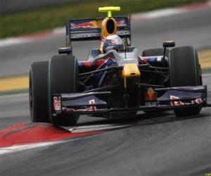 Sebastian Vettel piloting its F1 puzzle