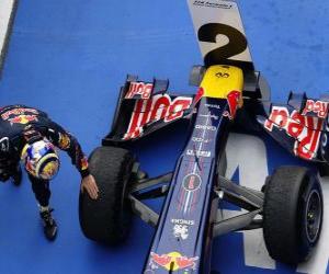 Sebastian Vettel - Red Bull - Shanghai, China Grand Prix (2011) (2nd place) puzzle