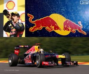Sebastian Vettel - Red Bull - Grand Prix of Belgium 2012, 2 ° classified puzzle