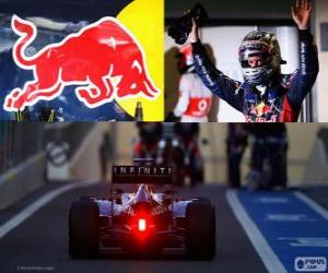 Sebastian Vettel - Red Bull - 2012 Abu Dhabi Grand Prix, 3rd classified puzzle