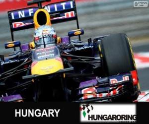 Sebastian Vettel - Red Bull - Hungarian Grand Prix 2013, 3rd classified puzzle