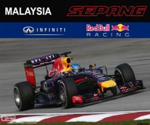 Sebastian Vettel - Red Bull - Grand Prix of Malaysia 2014, 3rd classified puzzle
