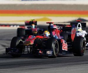 Sebastien Buemi - Toro Rosso - Bahrain 2010 puzzle
