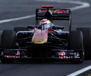 Sebastien Buemi - Toro Rosso - Hungaroring 2010 puzzle