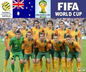 Selection of Australia, Group B, Brazil 2014 puzzle