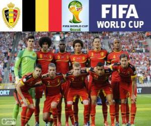 Selection of Belgium, Group H, Brazil 2014 puzzle