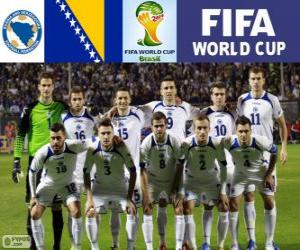 Selection of Bosnia and Herzegovina, Group F, Brazil 2014 puzzle