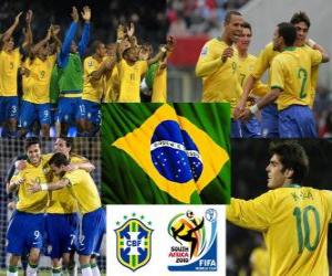 Selection of Brazil, Group G, South Africa 2010 puzzle