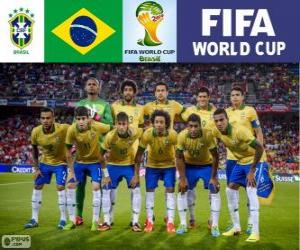 Selection of Brazil, Group A, Brazil 2014 puzzle