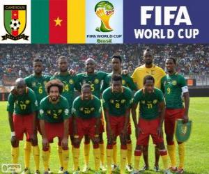 Selection of Cameroon, Group A, Brazil 2014 puzzle