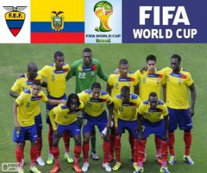 Selection of Ecuador, Group E, Brazil 2014 puzzle