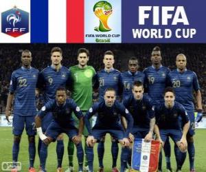 Selection of France, Group E, Brazil 2014 puzzle