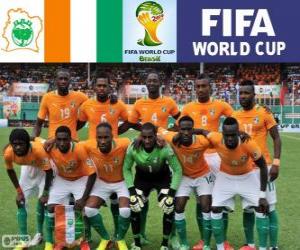 Selection of Ivory Coast, Group C, Brazil 2014 puzzle