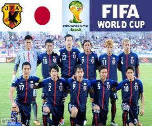 Selection of Japan, Group C, Brazil 2014 puzzle
