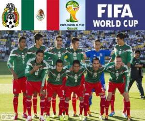 Selection of Mexico, Group A, Brazil 2014 puzzle