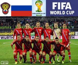 Selection of Russia, Group H, Brazil 2014 puzzle