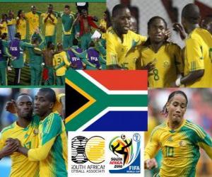 Selection of South Africa, Group A, South Africa 2010 puzzle