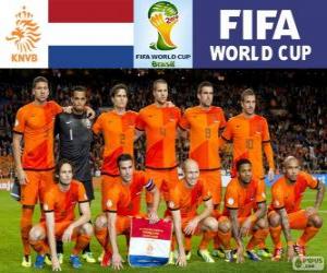 Selection of the Netherlands, Group B, Brazil 2014 puzzle