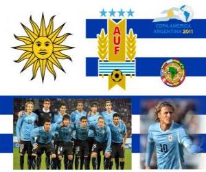 Selection of Uruguay, Group C, Argentina 2011 puzzle