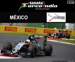 Sergio Perez, 2016 Mexican Grand Prix puzzle