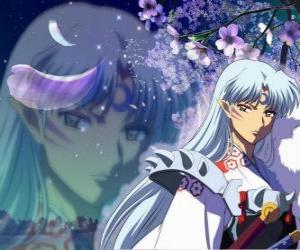 Sesshomaru, Inuyasha's brother. A total unscrupulous demon who hates his brother, the humans and the weak puzzle