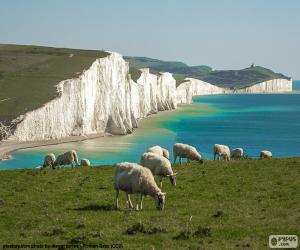 Seven Sisters, England puzzle